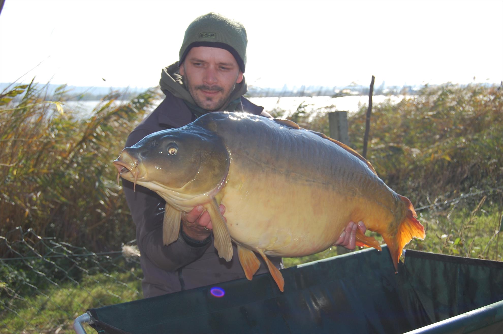 final de sezon 2015  - 22,3 kg